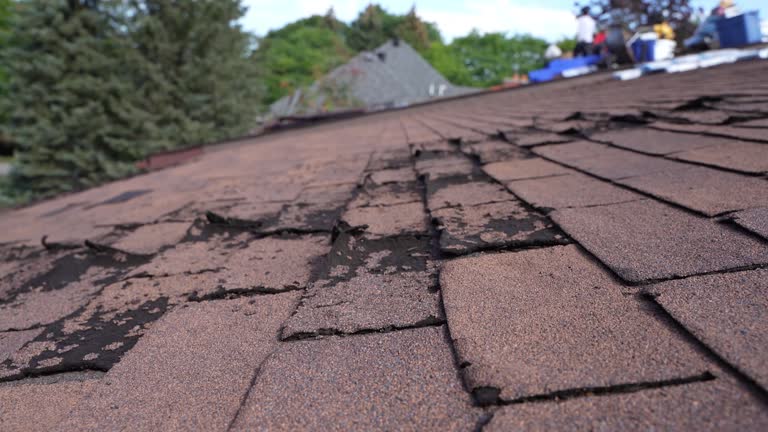 Best 4 Ply Roofing  in Rancho Laveras, CA